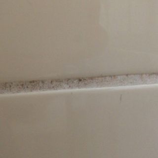 Voeg badkamer voor borstel